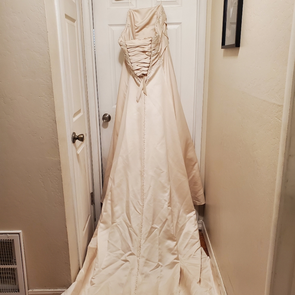 Wedding Dress size 16 Haute Couture by Maggie Sottero - Picture 2 of 5